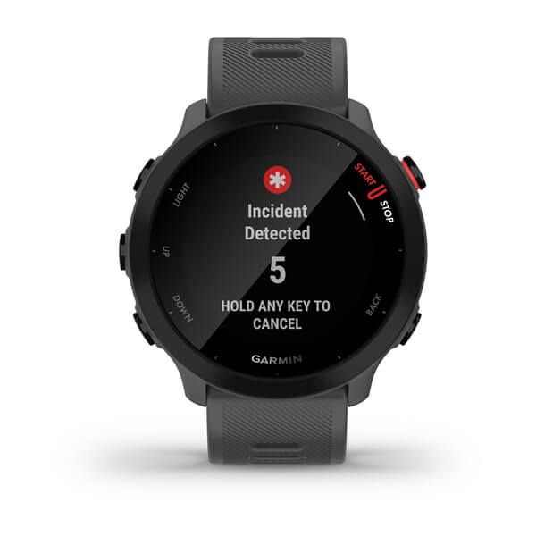 Смарт-годинник Garmin Forerunner 55 Monterra Grey 010-02562-13 фото