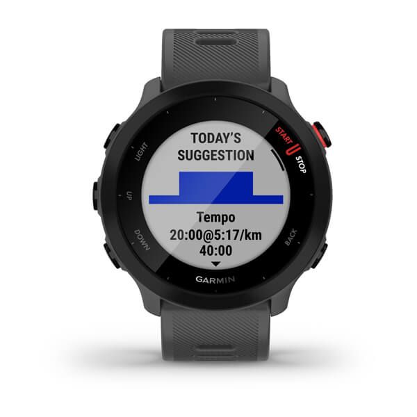 Смарт-часы Garmin Forerunner 55 Monterra Grey 010-02562-13 фото