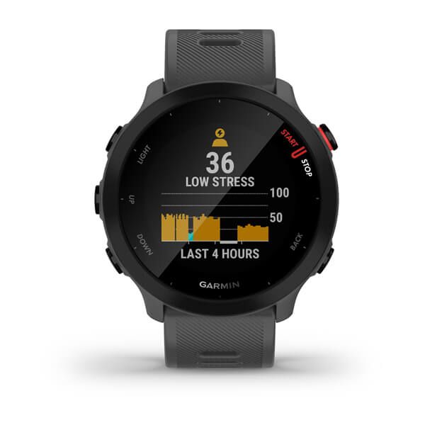 Смарт-годинник Garmin Forerunner 55 Monterra Grey 010-02562-13 фото