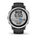 Смарт-часы Garmin Fenix 6S Solar серебристые с черным ремешком 010-02409-00 фото 3