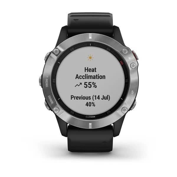 Смарт-годинник Garmin Fenix 6S сріблястий з чорним ремінцем 010-02159-01 фото