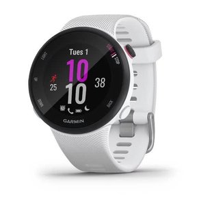 Біговий смарт-годинник Garmin Forerunner 45S білий 010-02156-10 фото