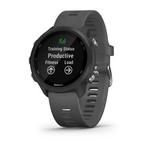 Смарт-годинник Garmin Forerunner 245 сірий 010-02120-10 фото