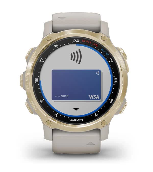 Garmin Pay